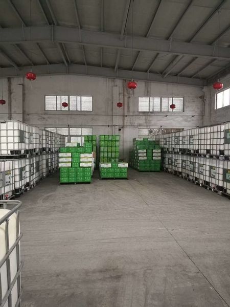 Κίνα Shenzhen Taiqiang Investment Holding Co., Ltd Εταιρικό Προφίλ